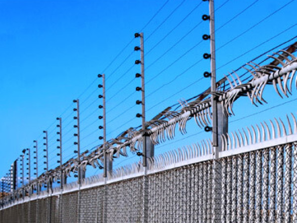 Cerca Eletrificada, Concertina ou Rede Laminada, qual é a melhor solução?